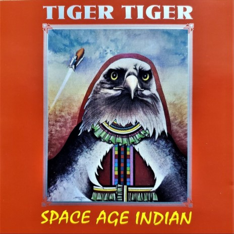 Space Age Indian | Boomplay Music