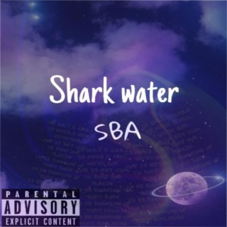 Shark Water