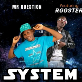 System