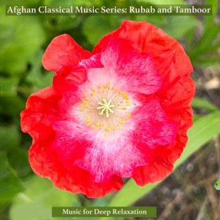Afghan Folk Music Series: Rubab and Tamboor