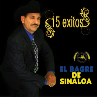 15 exitos