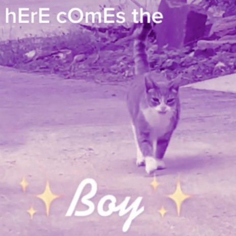 Here Comes The Boy (Slowed & Reverbed)