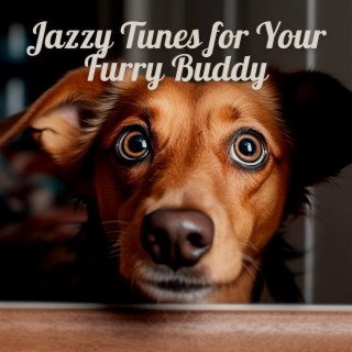 Jazzy Tunes for Your Furry Buddy