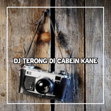 DJ TERONG DI CABEIN KANE | Boomplay Music