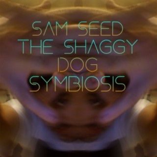 Symbiosis