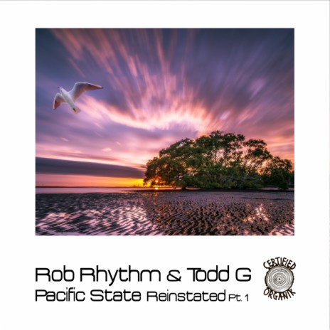 Pacific State Reinstated Pt.1 (Todd G's Circus Beats Mix) ft. Todd G | Boomplay Music
