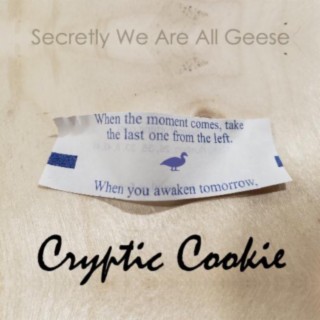 Cryptic Cookie