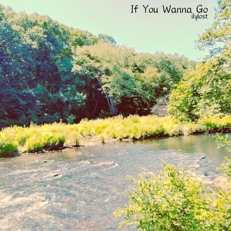 If You Wanna Go | Boomplay Music