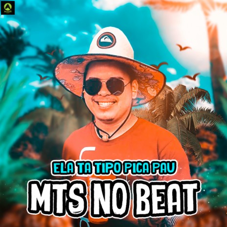 Ela Ta Tipo Pica Pau | Boomplay Music