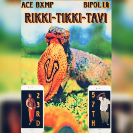 Rikki-Tikki-Tavi ft. Bipolii | Boomplay Music