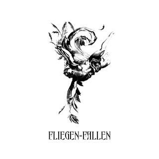 Fliegen = Fallen lyrics | Boomplay Music