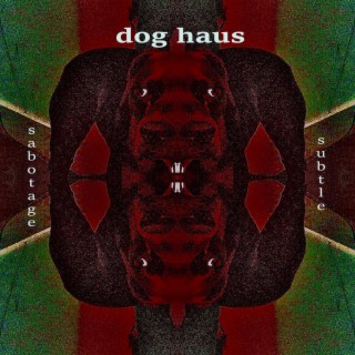 dog haus