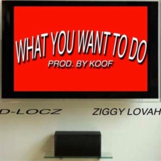 What You Wanna Do (feat. Ziggy Lovah)