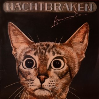 Nachtbraken