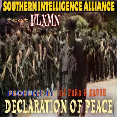 Declaration Of Peace