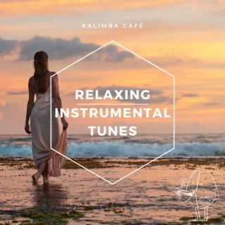 Relaxing Instrumental Tunes