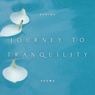 Journey to Tranquility - Evening Nature Sounds, Releasing Daily Tensions, Peaceful Night's Rest