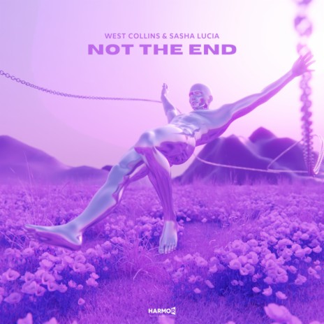 Not The End ft. Sasha Lucia | Boomplay Music