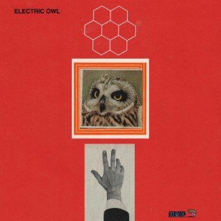 Electric Owl