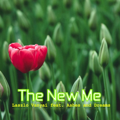 The New Me ft. Ashes and Dreams | Boomplay Music