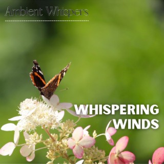 Whispering Winds