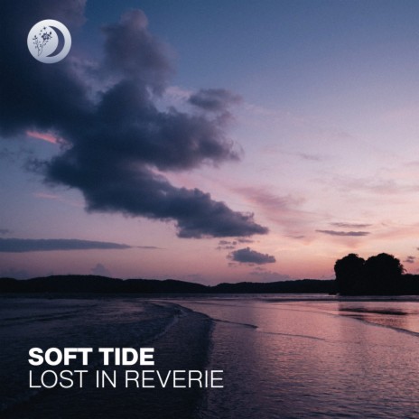 Lost in Reverie | Boomplay Music