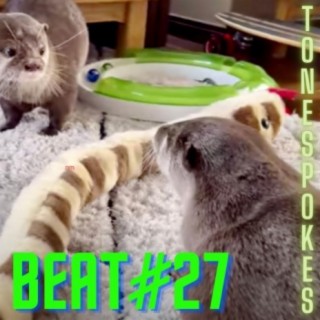 Beat #27