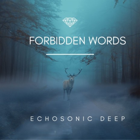 Echosonic Deep - Forbidden words(Original mix | Boomplay Music