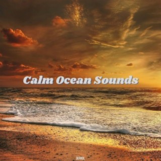 Calm Ocean Sounds