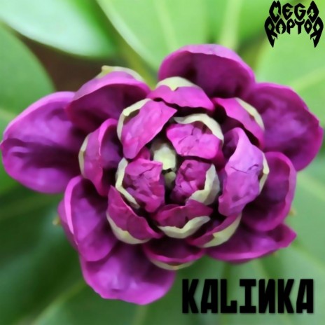 Kalinka | Boomplay Music