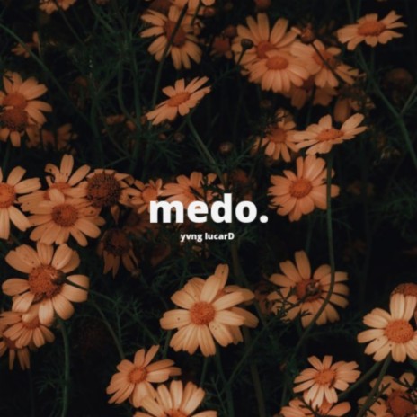 Medo | Boomplay Music