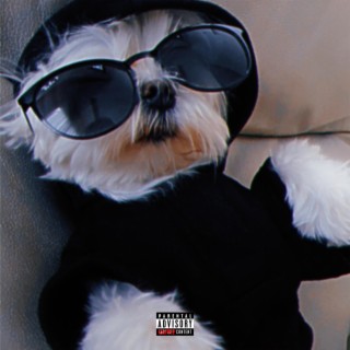 Lazy Doggy | Boomplay Music