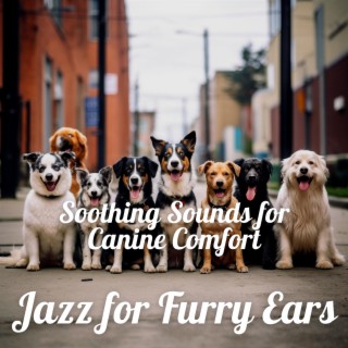 Jazz for Furry Ears: Soothing Sounds for Canine Comfort