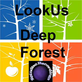 Deep Forest