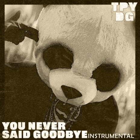 You Never Said Goodbye (Instrumental) | Boomplay Music