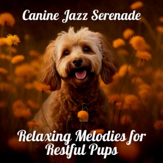 Canine Jazz Serenade: Relaxing Melodies for Restful Pups