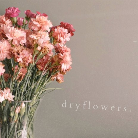 Dry Flowers | Boomplay Music