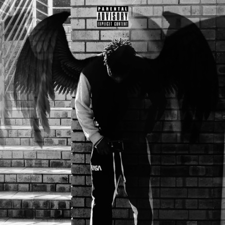 Birds In The Trap | Boomplay Music