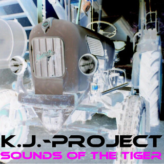 Sounds of the Tiger