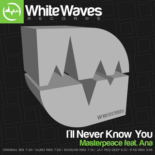 I'll Never Know You (feat. Ana)