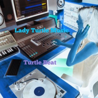 turtle beat track