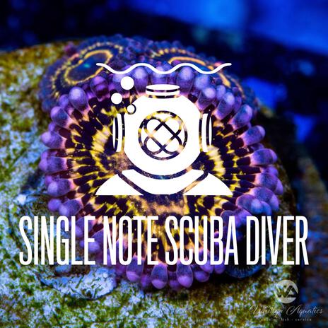 Scuba Squad | Boomplay Music