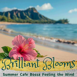 Summer Cafe Bossa Feeling the Wind