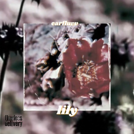 lily ft. earfluvv | Boomplay Music