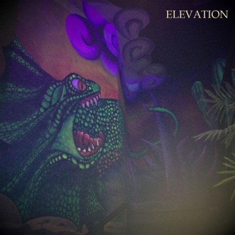Elevation | Boomplay Music