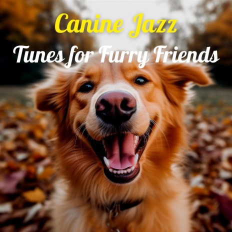 Calm Dog Music