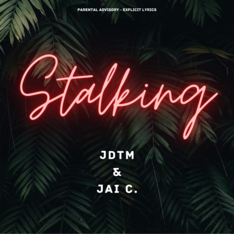 Stalkng (Radio Edit) ft. Al pacina | Boomplay Music