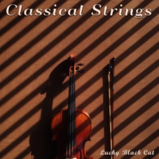 Classical Strings