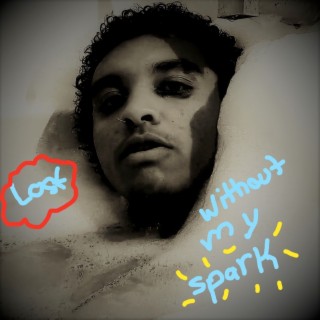 Lost Without My Spark