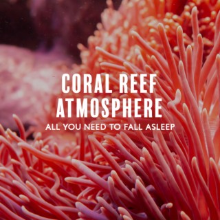 Coral Reef Atmosphere: All You Need to Fall Asleep, Ocean Sounds During a Lunar Eclipse in the Philippines, Ocean Breeze All Night, Blue Dreams